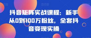 抖音矩阵实战课程：新手从0到100万粉丝，全套抖音变现实操-网创学习资源