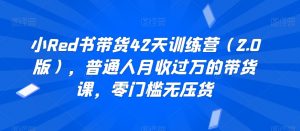 小Red书带货42天训练营（2.0版），普通人月收过万的带货课，零门槛无压货-网创学习资源