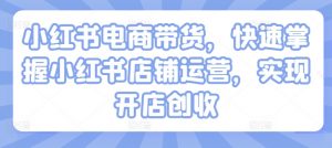 小红书电商带货，快速掌握小红书店铺运营，实现开店创收-网创学习资源