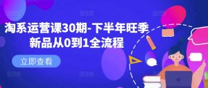 淘系运营课30期-下半年旺季新品从0到1全流程-网创学习资源