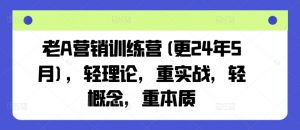 老A营销训练营(更24年8月)，轻理论，重实战，轻概念，重本质-网创学习资源