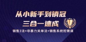从小新手到销冠 三合一速成：销售3法+非暴力关单法+销售系统挖需课 (27节)-网创学习资源