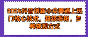 2024抖音创新小众赛道上热门核心技术，超级涨粉，多种变现方式【揭秘】-网创学习资源
