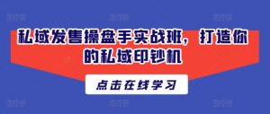 私域发售操盘手实战班，打造你的私域印钞机-网创学习资源