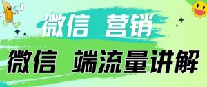 4.19日内部分享《微信营销流量端口》微信付费投流【揭秘】-网创学习资源