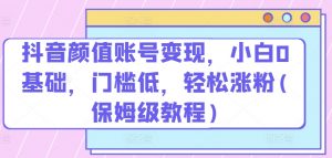 抖音颜值账号变现，小白0基础，门槛低，​轻松涨粉(保姆级教程)【揭秘】-网创学习资源