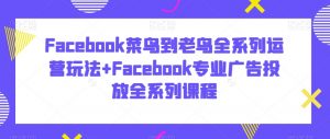 Facebook菜鸟到老鸟全系列运营玩法+Facebook专业广告投放全系列课程-网创学习资源