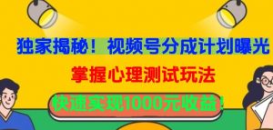 独家揭秘！视频号分成计划曝光，掌握心理测试玩法，快速实现1000元收益【揭秘】-网创学习资源