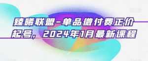 臻曦联盟-单品微付费正价起号，2024年1月最新课程-网创学习资源