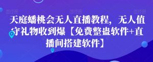 天庭蟠桃会无人直播教程，无人值守礼物收到爆【免费整蛊软件+直播间搭建软件】-网创学习资源