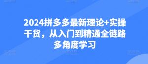 2024拼多多最新理论+实操干货，从入门到精通全链路多角度学习-网创学习资源