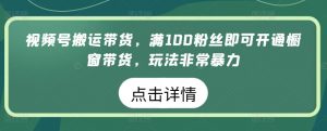 视频号搬运带货，满100粉丝即可开通橱窗带货，玩法非常暴力【揭秘】-网创学习资源