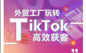 外贸工厂玩转TikTok高效获客，多种引流方式与账号定位技巧，拆解爆款短视频打造成功案例-网创学习资源