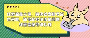 线索流量大课，解决线索账号定位问题，新号起号没流量问题，线索流量导进私域-网创学习资源