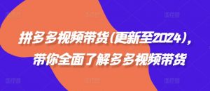 拼多多视频带货(更新至2024)，带你全面了解多多视频带货-网创学习资源
