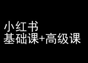 小红书基础课+高级课-小红书运营教程-网创学习资源