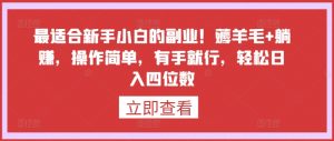 最适合新手小白的副业！薅羊毛+躺赚，操作简单，有手就行，轻松日入四位数【揭秘】-网创学习资源