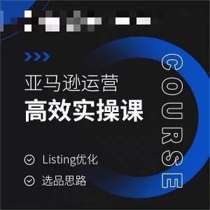 亚马逊运营高效实操课，Listing优化，选品思路-网创学习资源