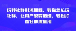 玩转社群引流课程，教你怎么玩社群，让用户裂变倍增，轻松打造社群流量池-网创学习资源