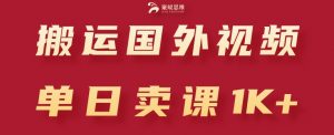 搬运国外视频，引流创业粉，单日卖课1K+【揭秘】-网创学习资源