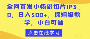 全网首发小杨哥切片IP3.0，日入500+，保姆级教学，小白可做【揭秘】-网创学习资源