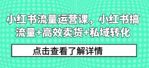 小红书流量运营课，小红书搞流量+高效卖货+私域转化-网创学习资源