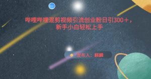 哔哩哔哩混剪视频引流创业粉日引300+，新手小白轻松上手【揭秘】-网创学习资源
