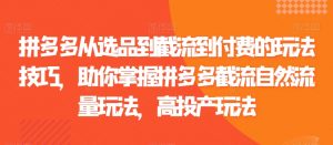 拼多多从选品到截流到付费的玩法技巧，助你掌握拼多多截流自然流量玩法，高投产玩法-网创学习资源