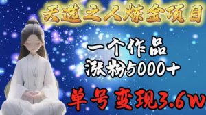 天选之人炼金项目，一个作品涨粉5000+，单号变现3.6w【揭秘】-网创学习资源