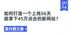 某付费文章《如何打造一个上线56天就拿下45万点击的新网站?》-网创学习资源