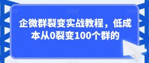 企微群裂变实战教程，低成本从0裂变100个群的-网创学习资源