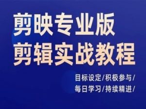 剪映专业版剪辑实战教程，目标设定/积极参与/每日学习/持续精进-网创学习资源