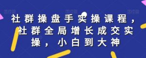 社群实操课程，社群全局增长成交实操，小白到大神-网创学习资源