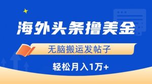 海外头条撸美金，无脑搬运发帖子，月入1万+，小白轻松掌握【揭秘】-网创学习资源