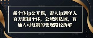 新个体ip公开课，素人ip到年入百万超级个体，公域到私域，普通人可复制的变现路径拆解-网创学习资源