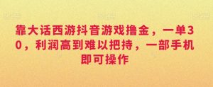 靠大话西游抖音游戏撸金，一单30，利润高到难以把持，一部手机即可操作，日入3000+【揭秘】-网创学习资源