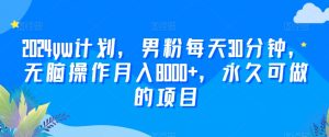 2024yw计划，男粉每天30分钟，无脑操作月入8000+，永久可做的项目【揭秘】-网创学习资源