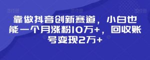 靠做抖音创新赛道，小白也能一个月涨粉10万+，回收账号变现2万+【揭秘】-网创学习资源