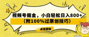 视频号掘金，小白轻松日入800+（附100%过原创技巧）【揭秘】-网创学习资源