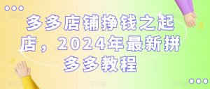 多多店铺挣钱之起店，2024年最新拼多多教程-网创学习资源