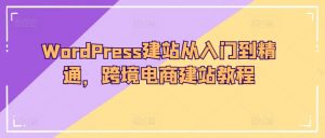 WordPress建站从入门到精通，跨境电商建站教程-网创学习资源