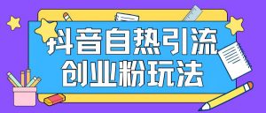 抖音引流创业粉自热玩法日引200+精准粉-网创学习资源