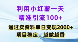 利用小红书一天精准引流100+，通过卖项目单日变现2k+，项目稳定，越做越香【揭秘】-网创学习资源