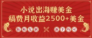 小说出海赚美金，稿费月收益2500+美金，仅需chatgpt粘贴复制，新手也能玩转【揭秘】-网创学习资源