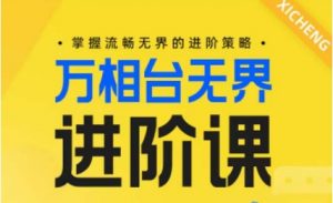 电商万相台无界进阶课，掌握流畅无界的进阶策略-网创学习资源