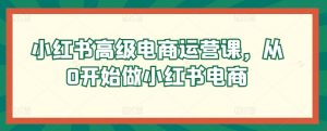 小红书高级电商运营课，从0开始做小红书电商-网创学习资源