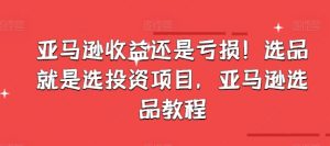 亚马逊收益还是亏损！选品就是选投资项目，亚马逊选品教程-网创学习资源