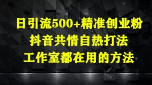 日引流500+精准创业粉，抖音共情自热打法，工作室都在用的方法-网创学习资源
