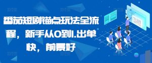 番茄短剧锚点玩法全流程，新手从0到1，出单快，前景好-网创学习资源