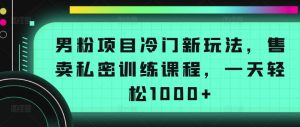 男粉项目冷门新玩法，售卖私密训练课程，一天轻松1000+【揭秘】-网创学习资源